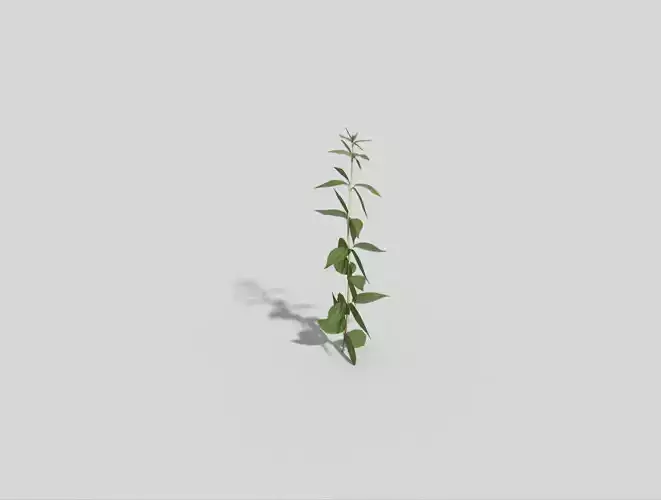 Low poly Plant