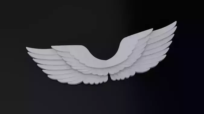 Customizable wings 3D 