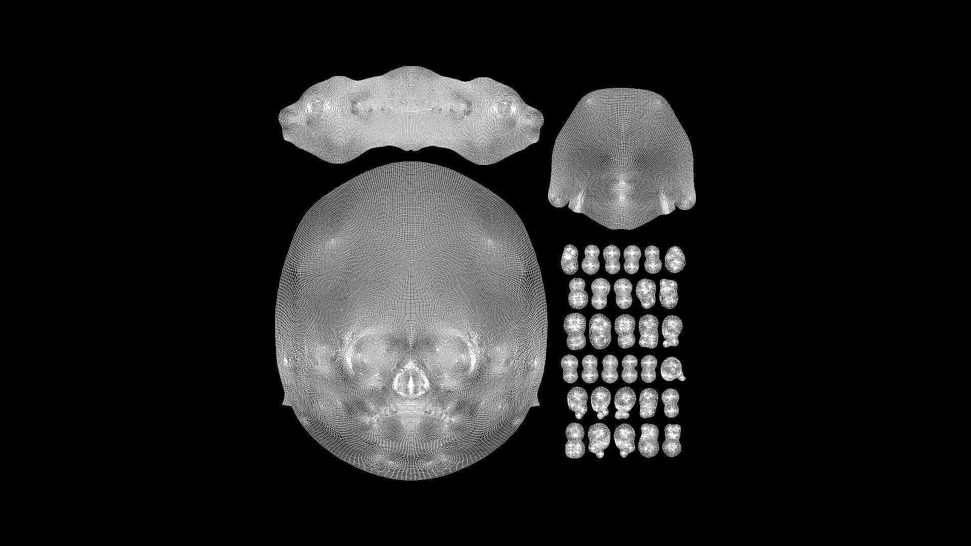 RANX-001 Rigged Skull Head 3D model_8
