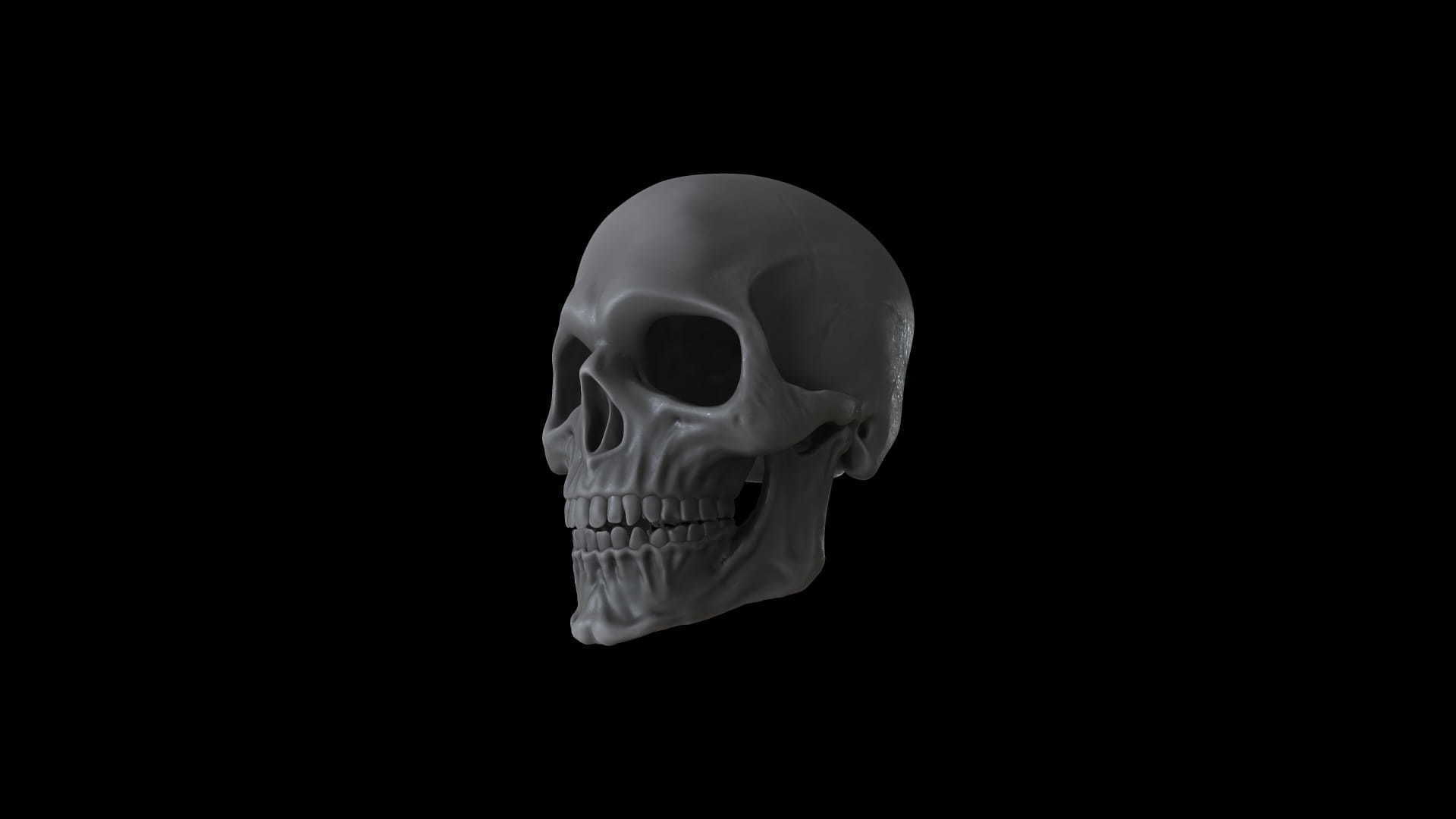 RANX-001 Rigged Skull Head 3D model_6