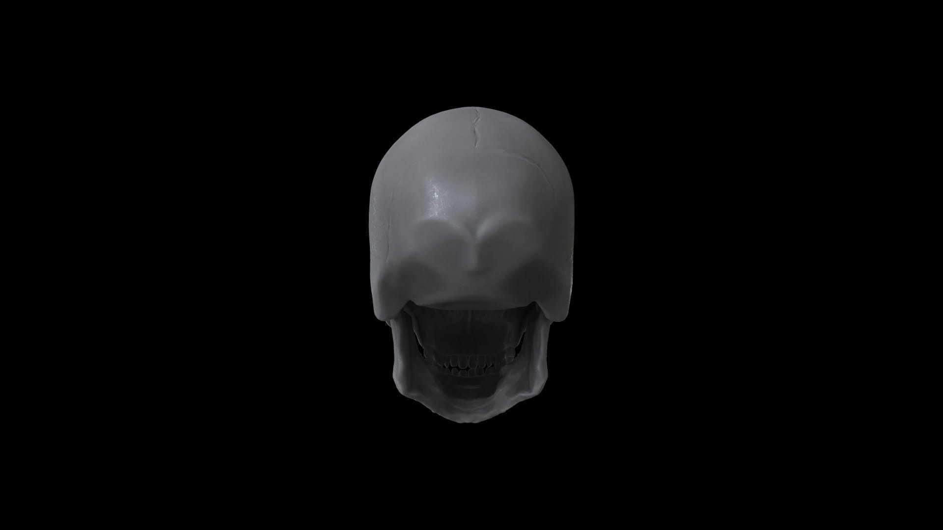 RANX-001 Rigged Skull Head 3D model_5