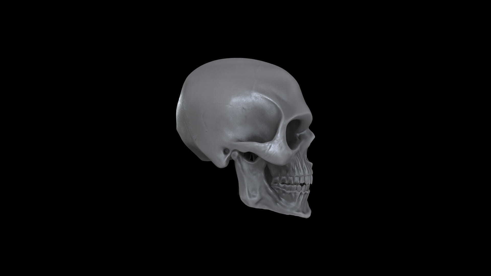 RANX-001 Rigged Skull Head 3D model_4