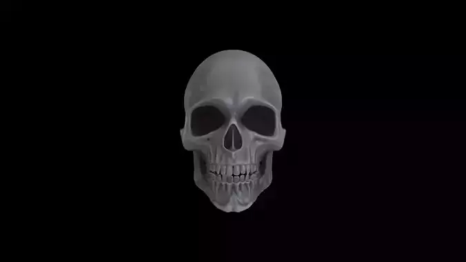 RANX-001 Rigged Skull Head