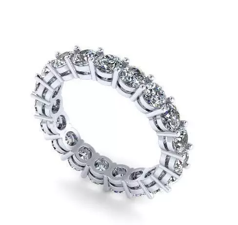 24 ring 3D print model