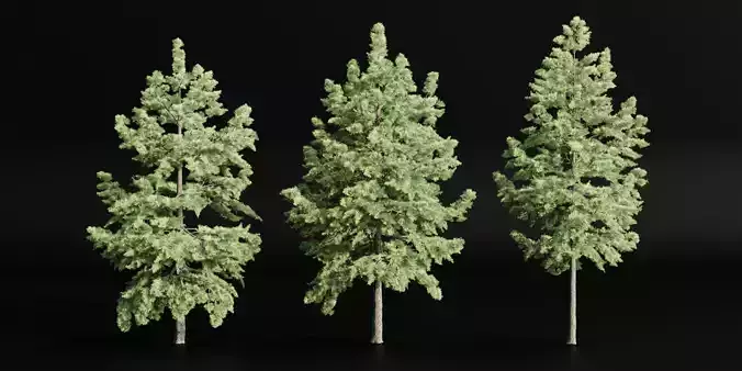 conifer trees collection vol 86-Blender 3D model