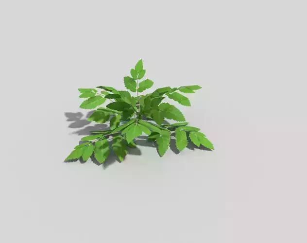 Low poly Plant