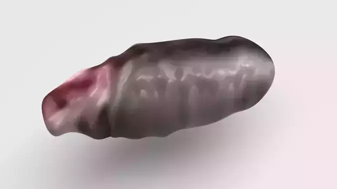 Boiled Black Rice Piece