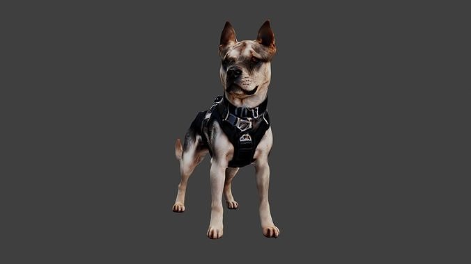 Dog Animal Low-poly 3D model