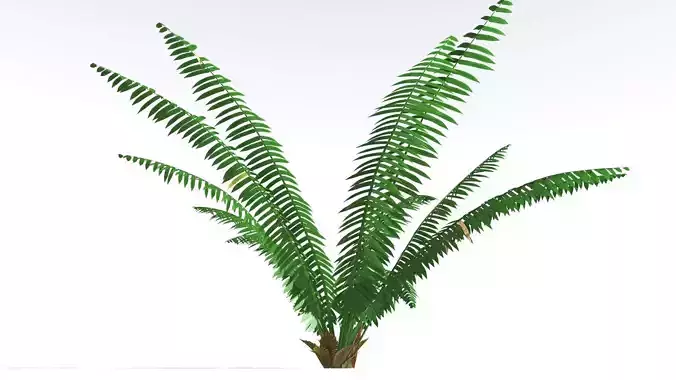 EVERYPlant Basket Fern 4 --14 Models-- 3D model