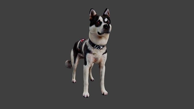 Dog Animal Low-poly 3D model