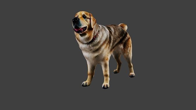 3D model Dog Animal VR / AR / low-poly | CGTrader