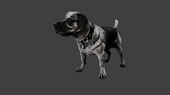 Dog Animal Low-poly 3D model