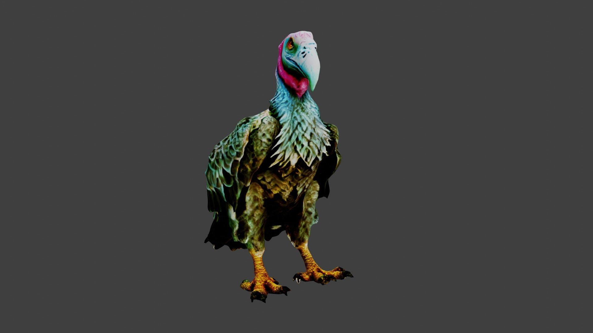 Vulture  Low-poly 3D model_1