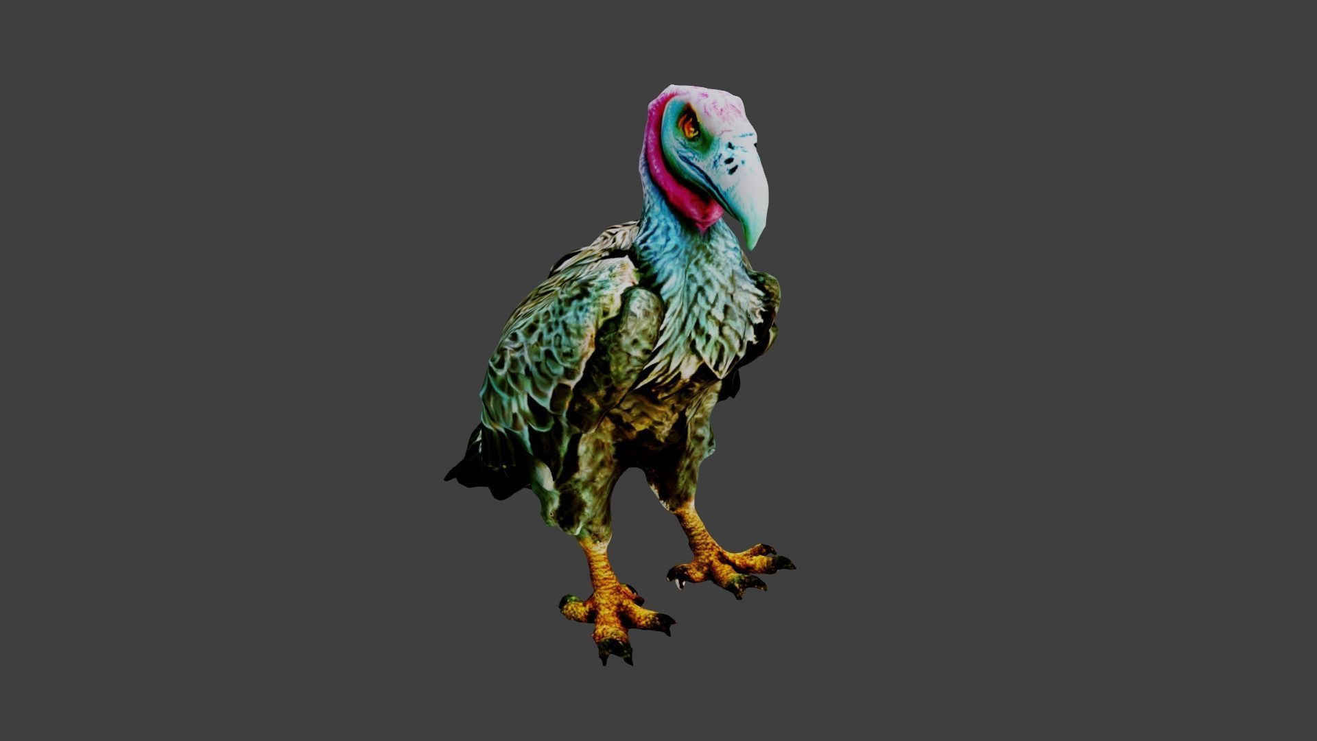 Vulture  Low-poly 3D model_7