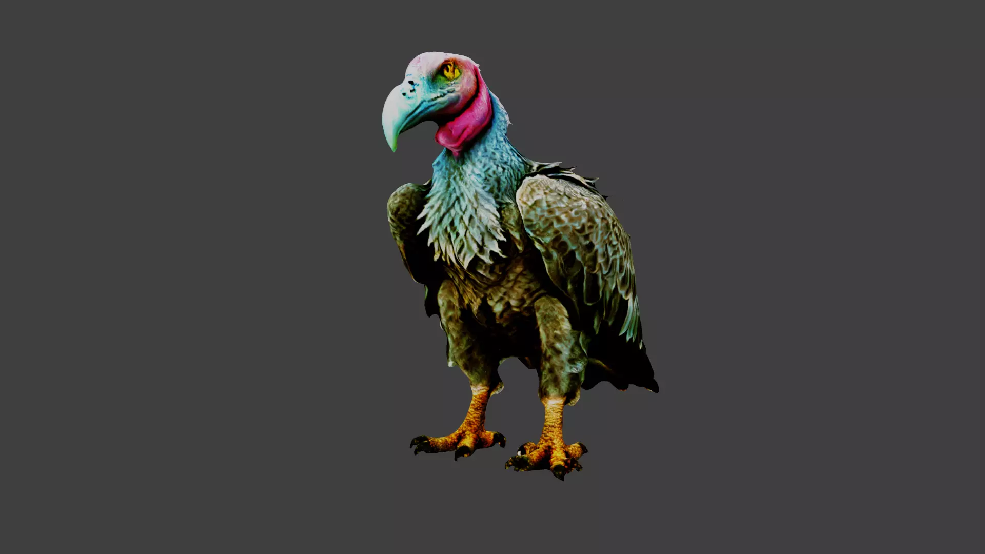 Vulture  Low-poly 3D model_0