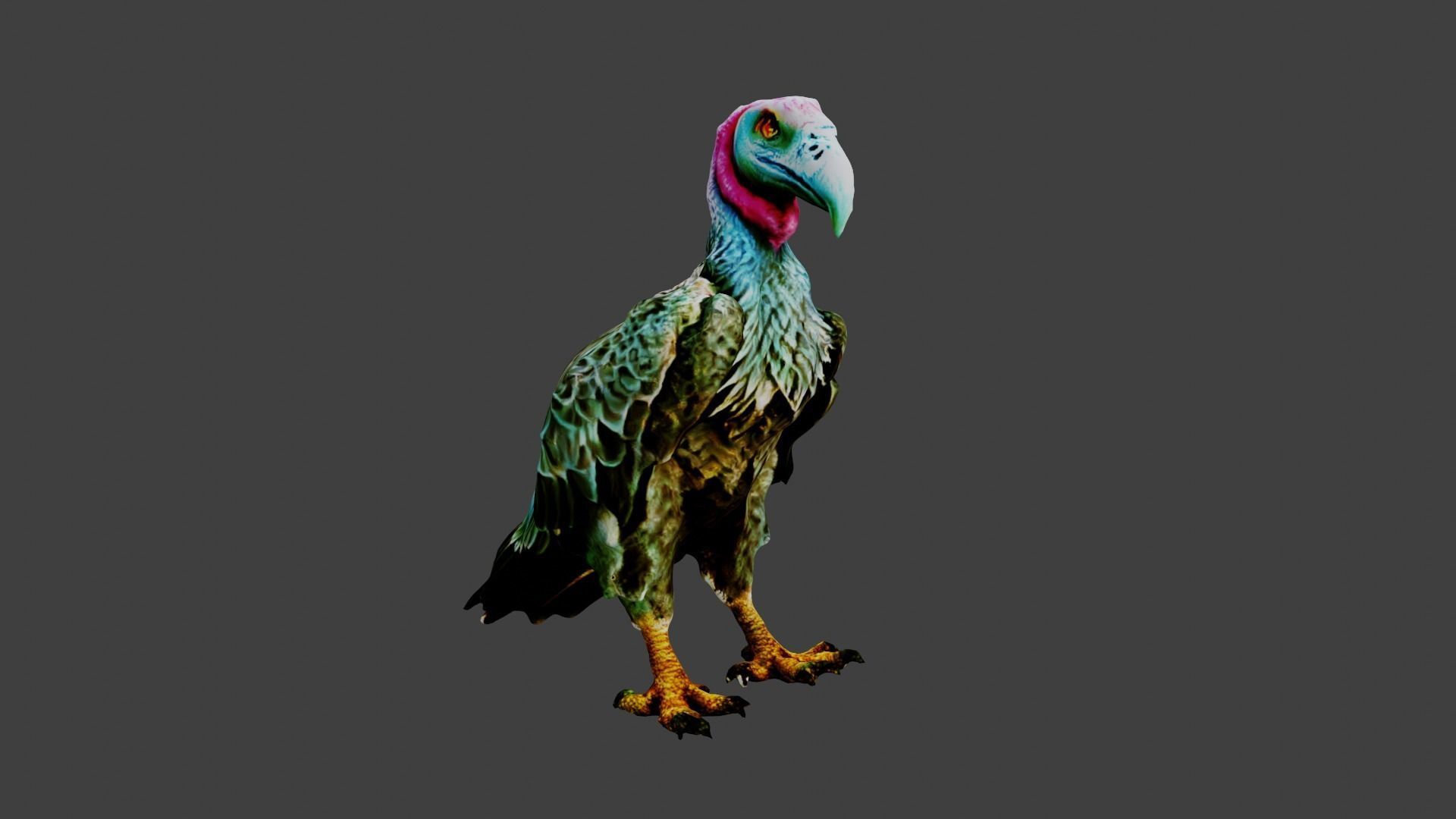 Vulture  Low-poly 3D model_5
