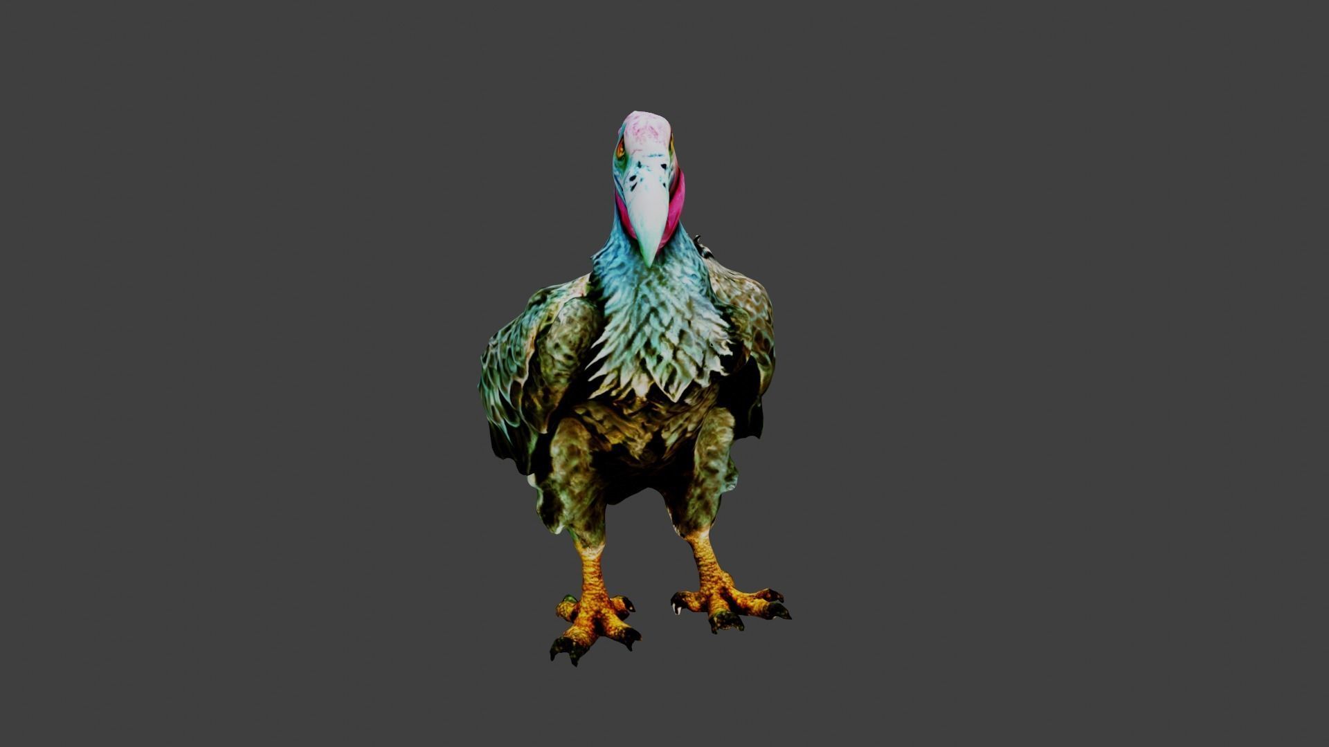 Vulture  Low-poly 3D model_3