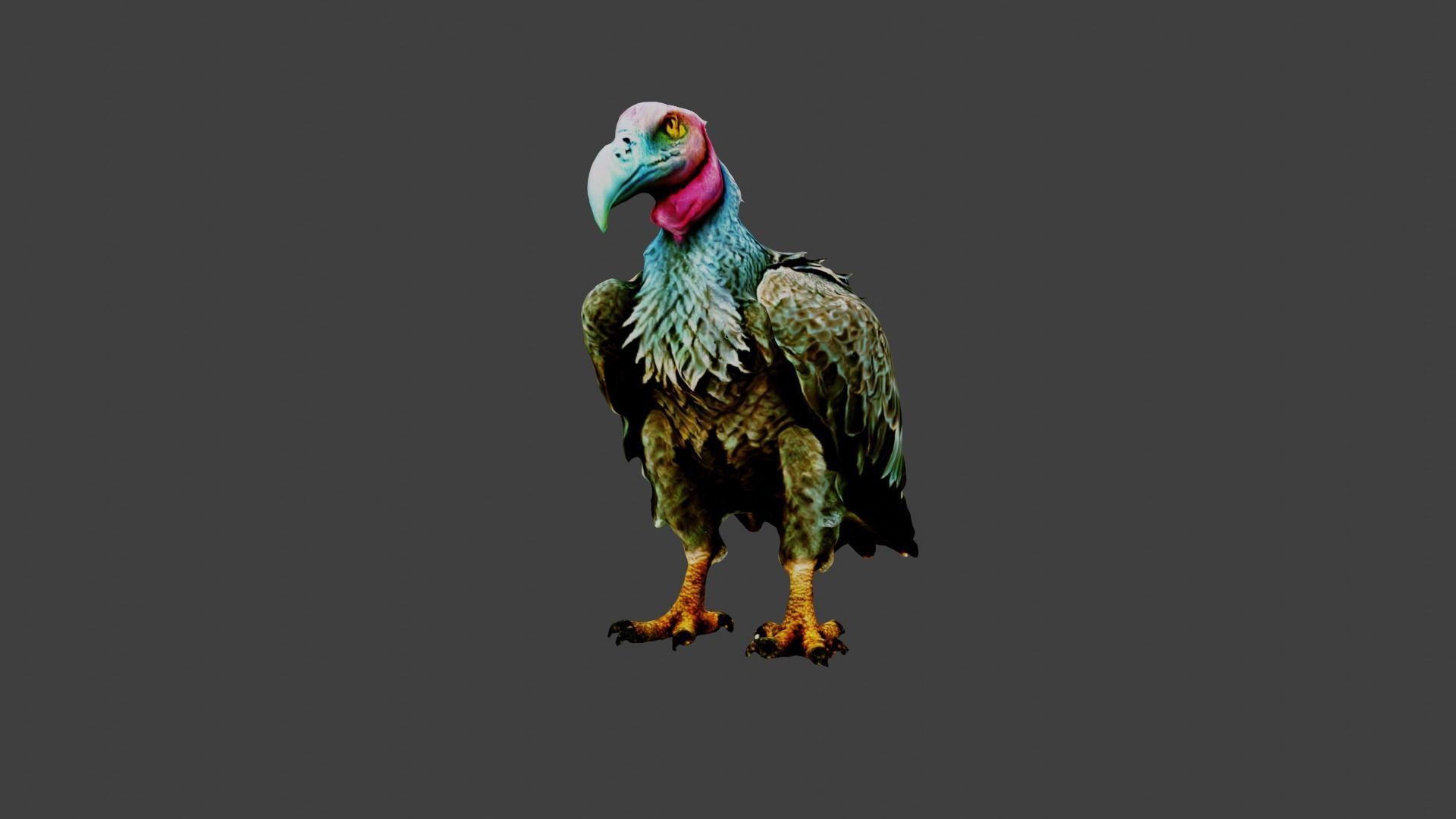 Vulture  Low-poly 3D model_4
