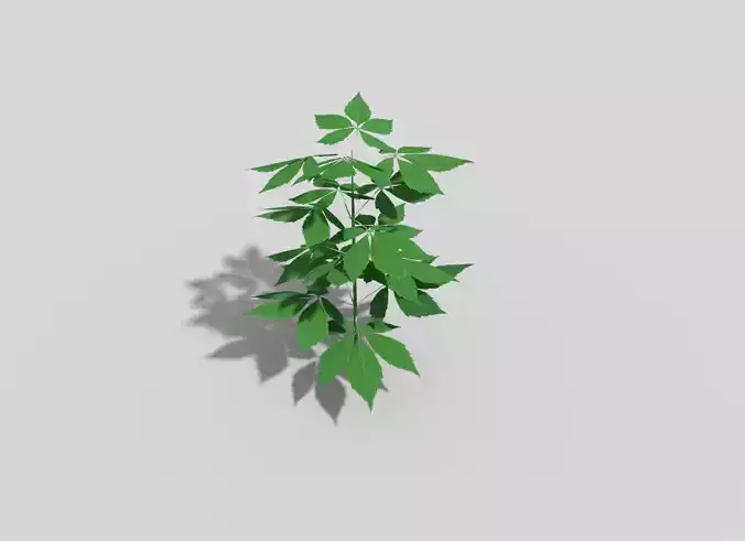Low poly Plant