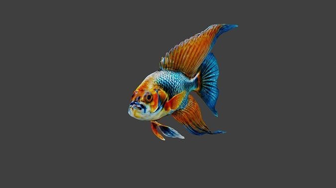 Fish Animal Low-poly 3D model
