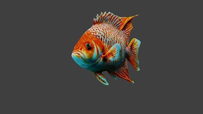 Fish Animal Low-poly 3D model