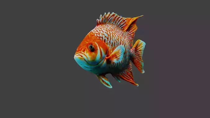 Fish Animal