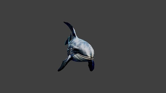 Whale Animal Low-poly 3D model