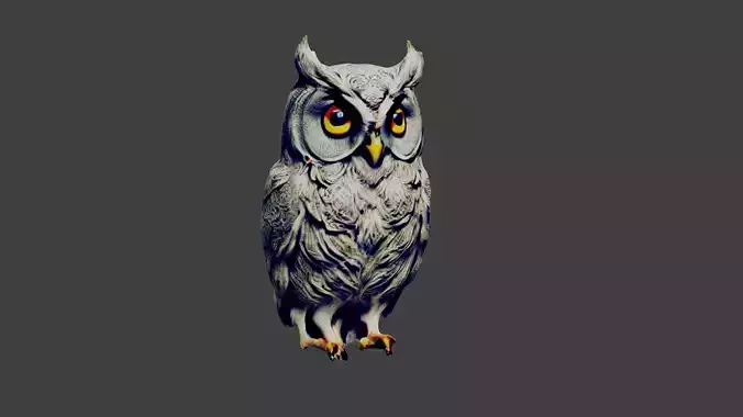 Owl Bird