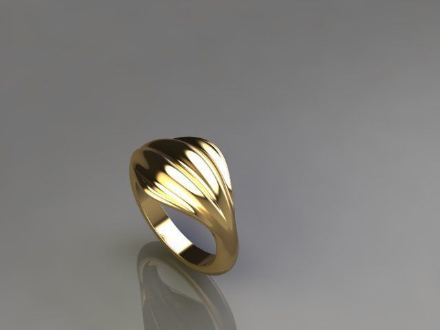 ring s 3D print model_2