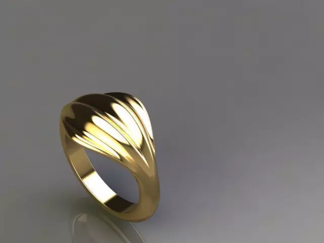 ring s 3D print model_0