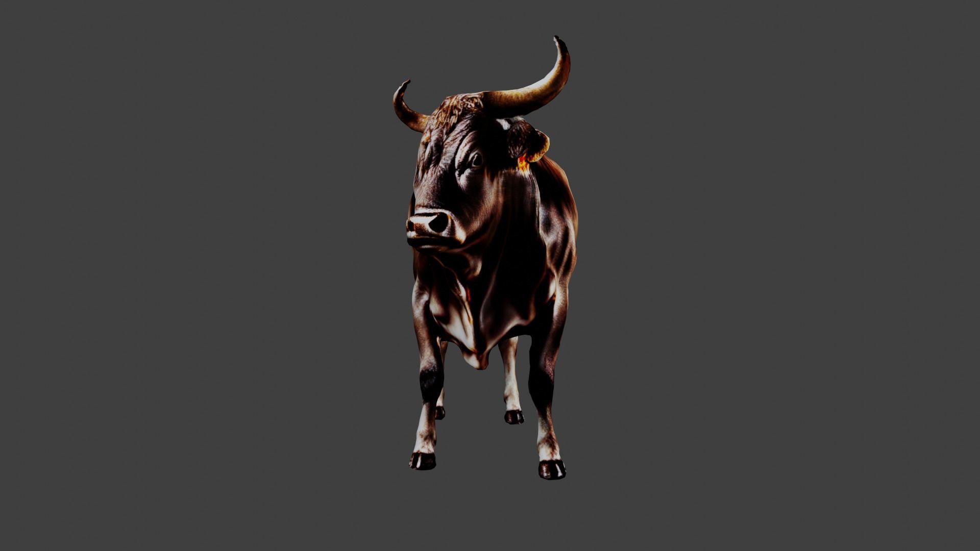 Bull Animal Low-poly 3D model_2