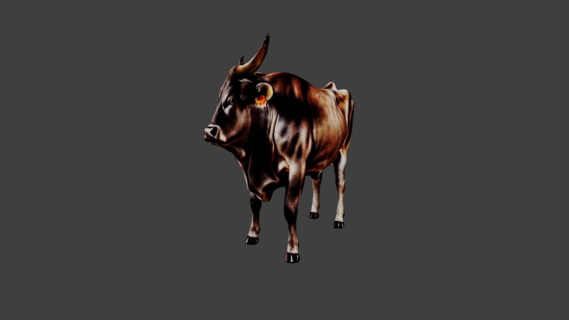 Bull Animal Low-poly 3D model_4