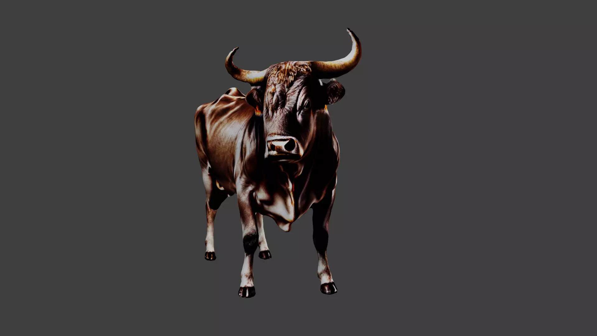 Bull Animal Low-poly 3D model_0