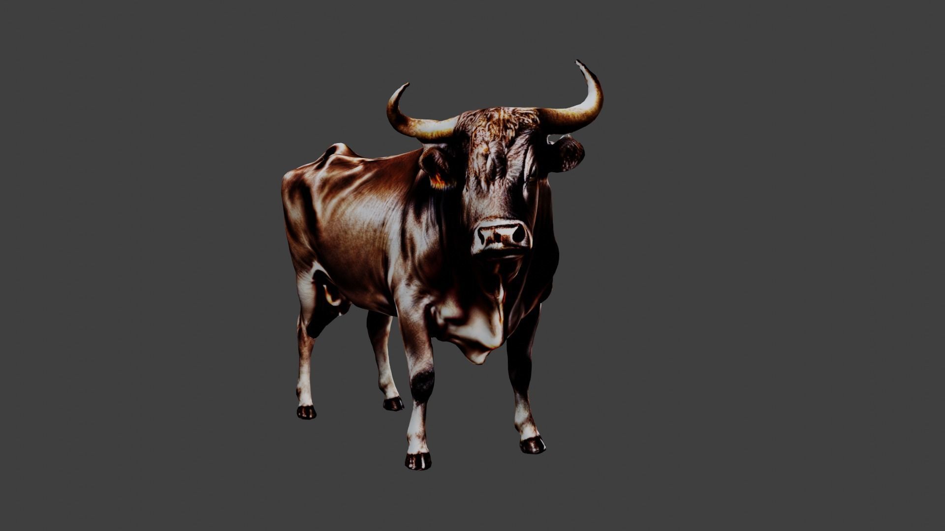 Bull Animal Low-poly 3D model_5