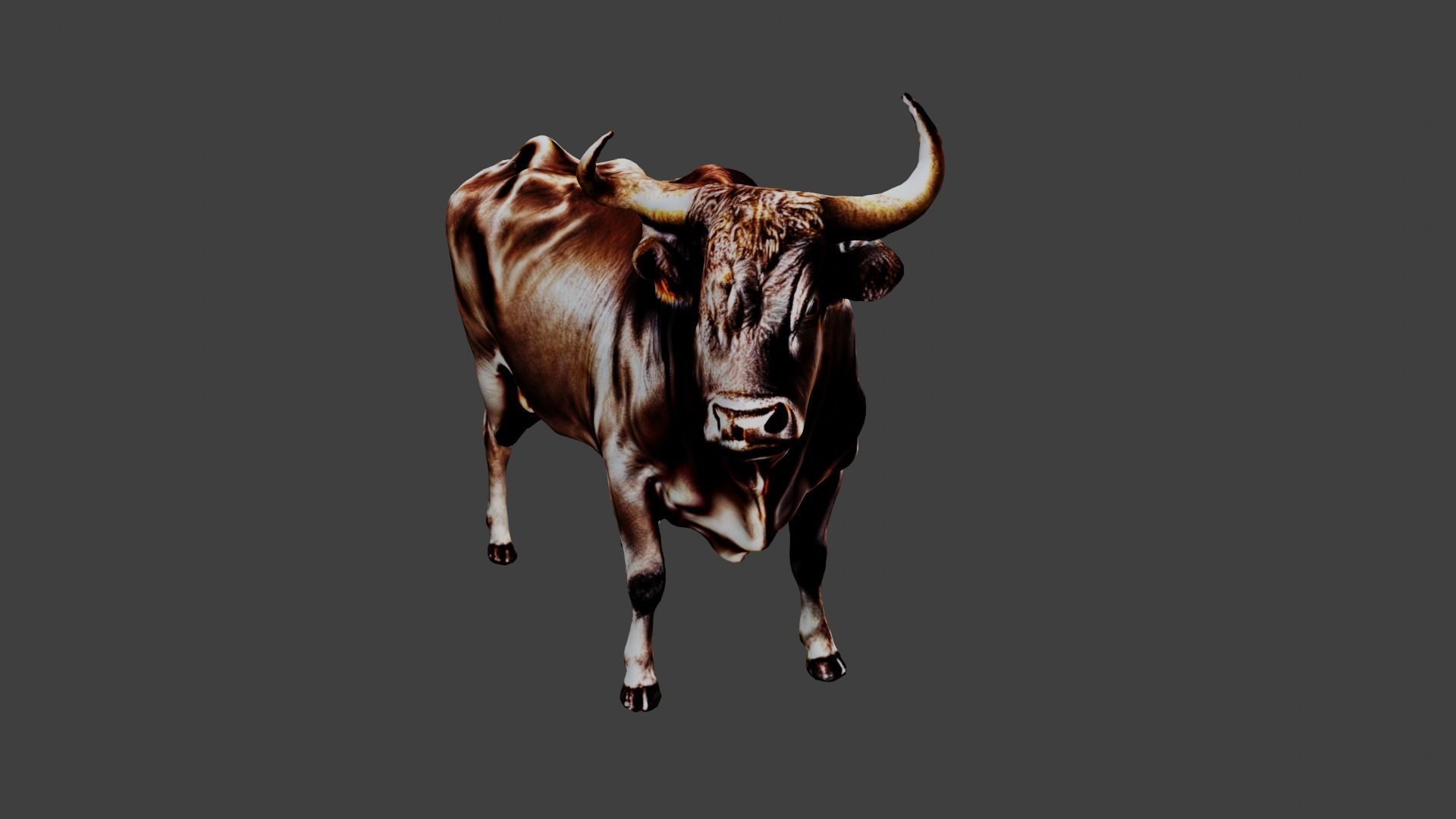 Bull Animal Low-poly 3D model_6
