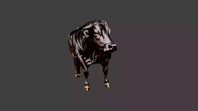 Bull Animal Low-poly 3D model