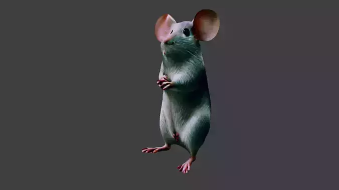 Mouse Rat Animal Low-poly 3D model