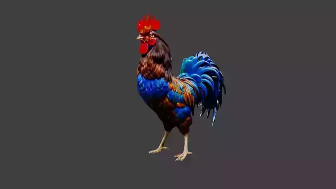 Cockerel Chicken Low-poly 3D model
