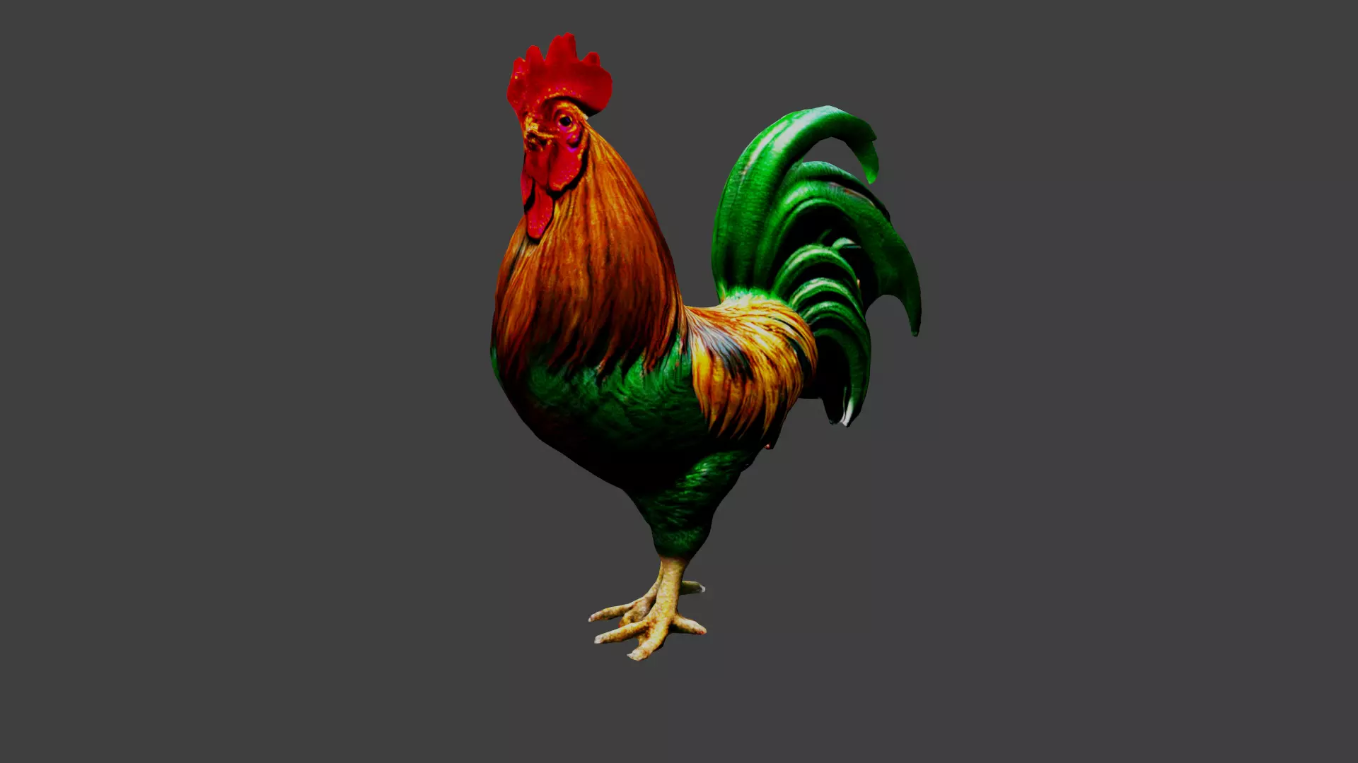 Cockerel Rooster Chicken Low-poly 3D model_0