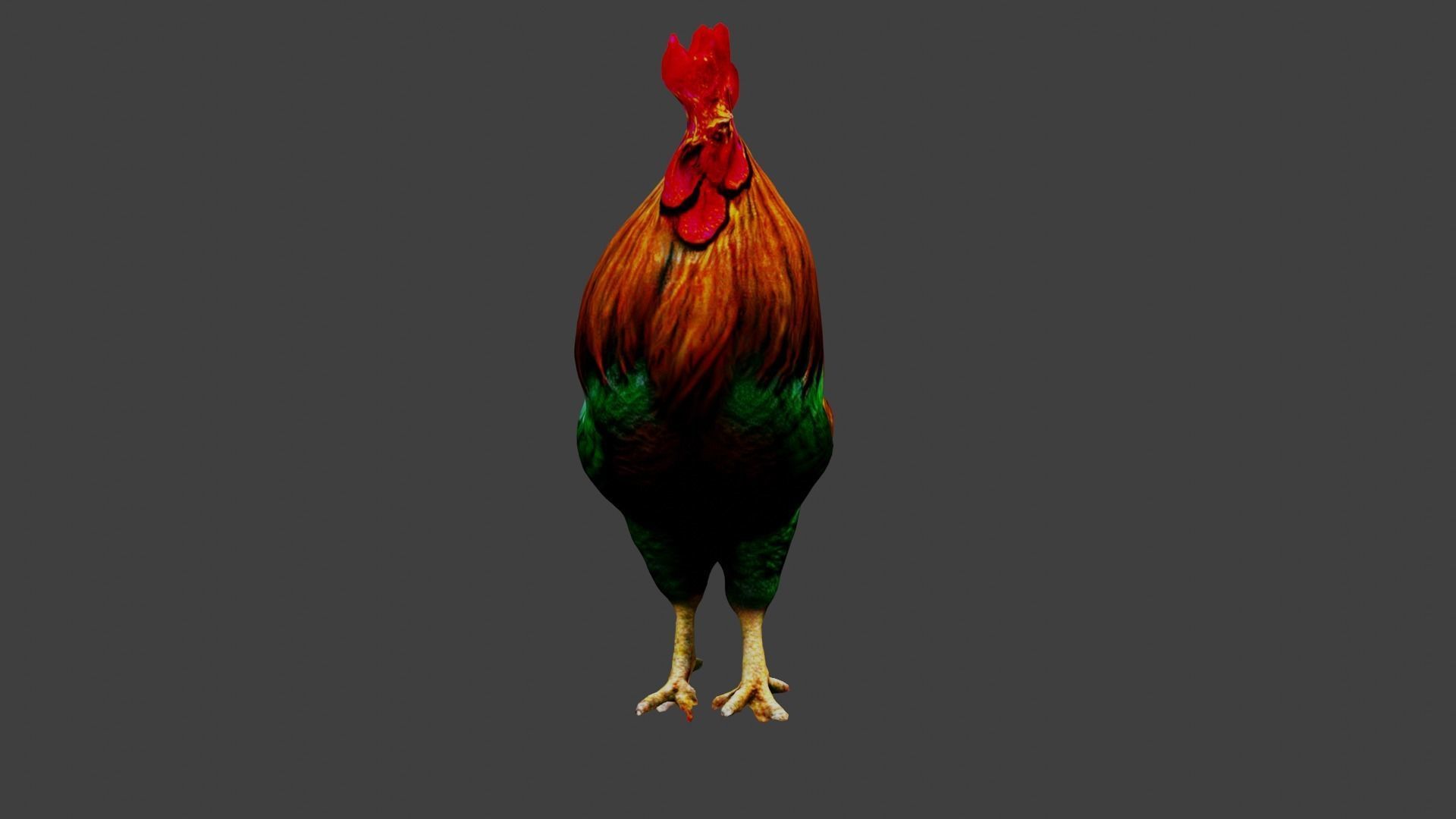 Cockerel Rooster Chicken Low-poly 3D model_3