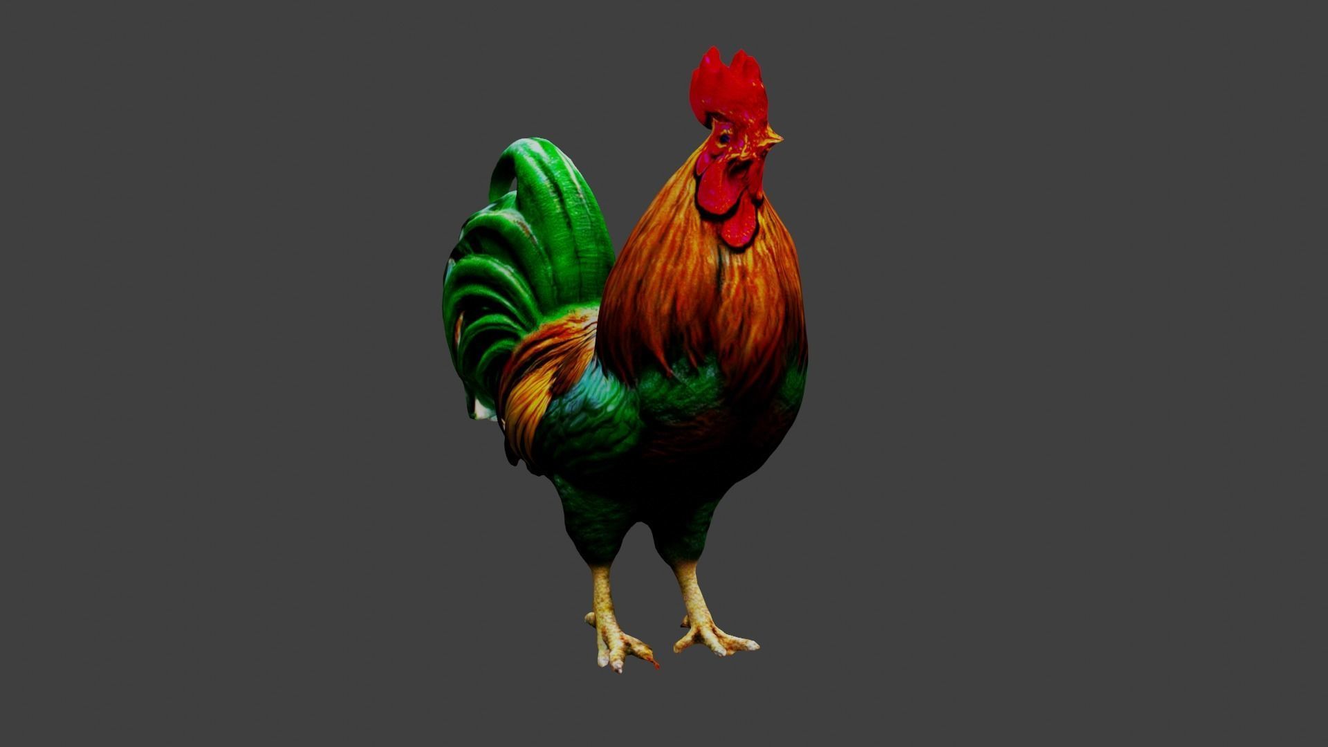 Cockerel Rooster Chicken Low-poly 3D model_1
