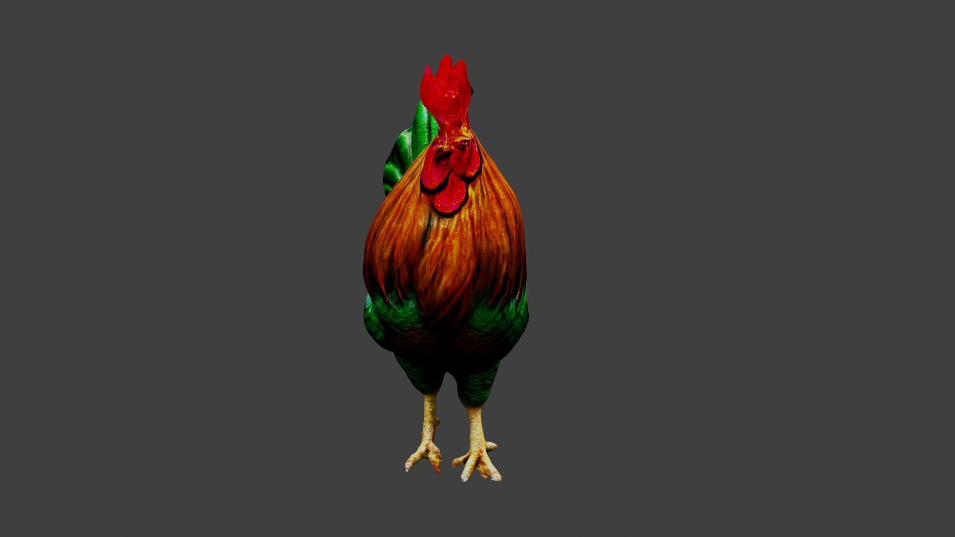 Cockerel Rooster Chicken Low-poly 3D model_4