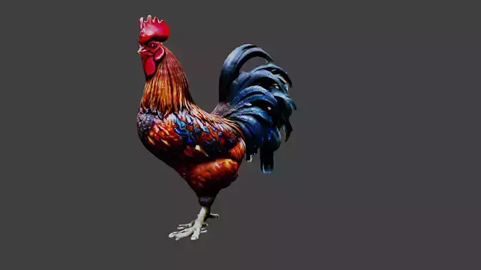 Rooster Animal Low-poly 3D model