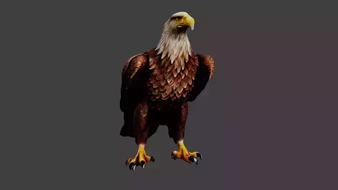 Eagle Animal