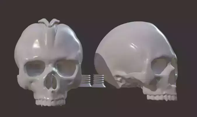 Salt and pepper shaker