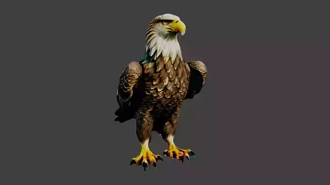 Eagle