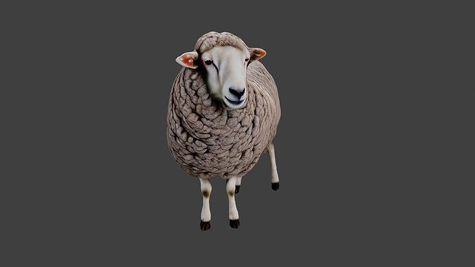 Sheep Low-poly 3D model