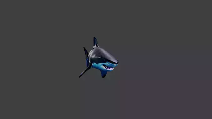 Shark Animal