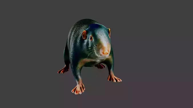 Mole Animal Low-poly 3D model