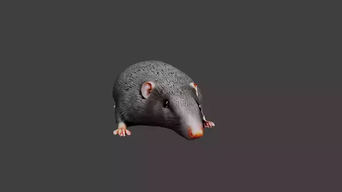 Mouse Rat 